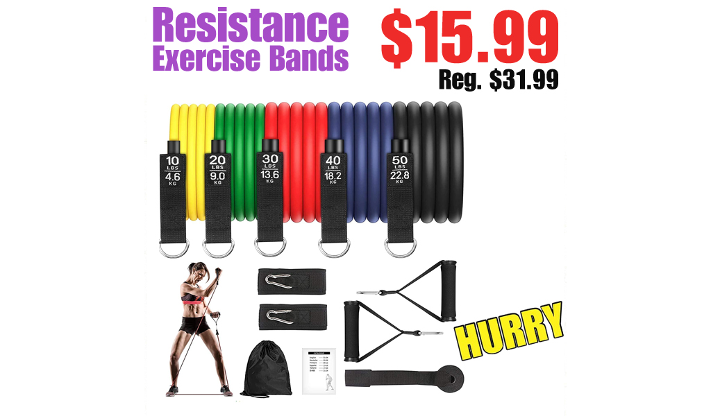Resistance Exercise Bands Only $15.99 on Amazon (Regularly $31.99)