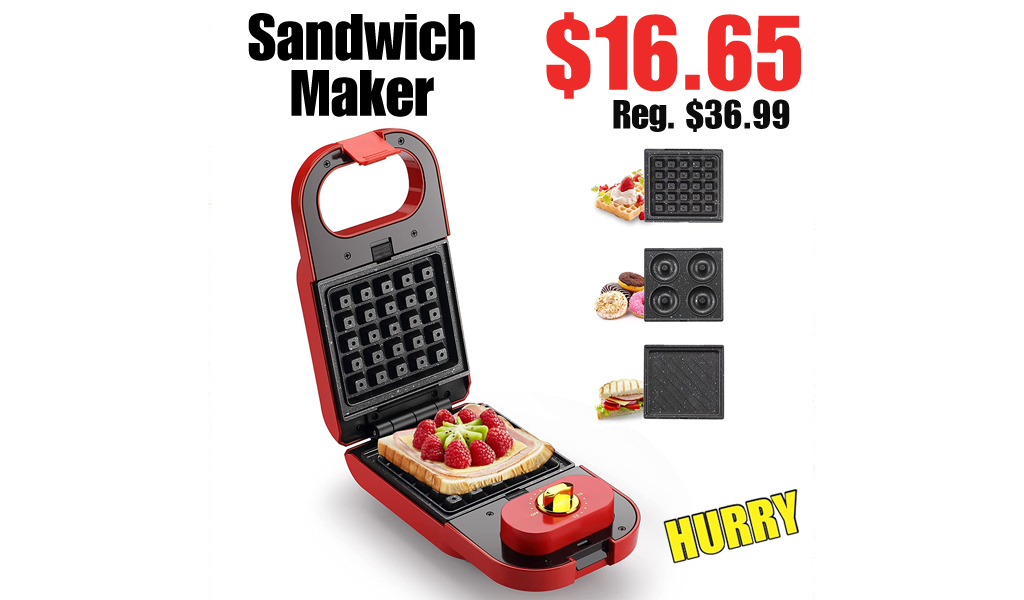 Sandwich Maker Only $16.65 on Amazon (Regularly $36.99)