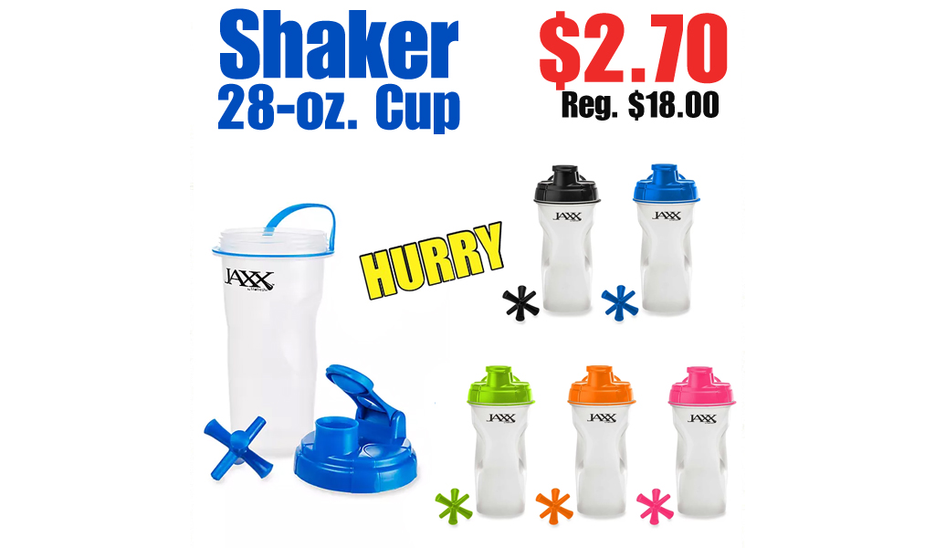 Shaker 28-oz. Cup Just $2.70 on Belk.com (Regularly $18.00)