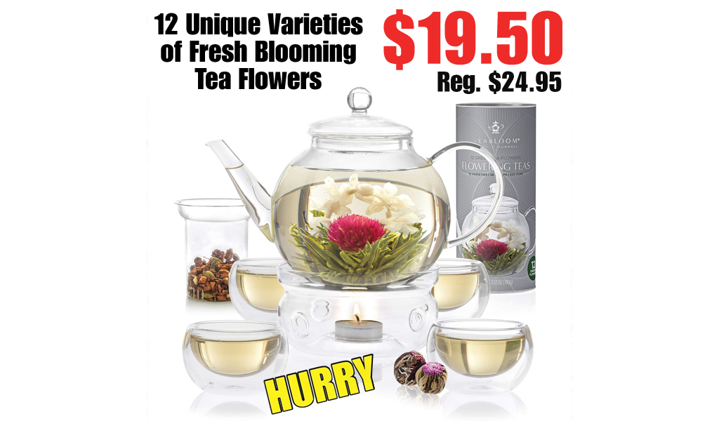 12 Unique Varieties of Fresh Blooming Tea Flowers Only $19.50 Shipped on Amazon (Regularly $24.95)