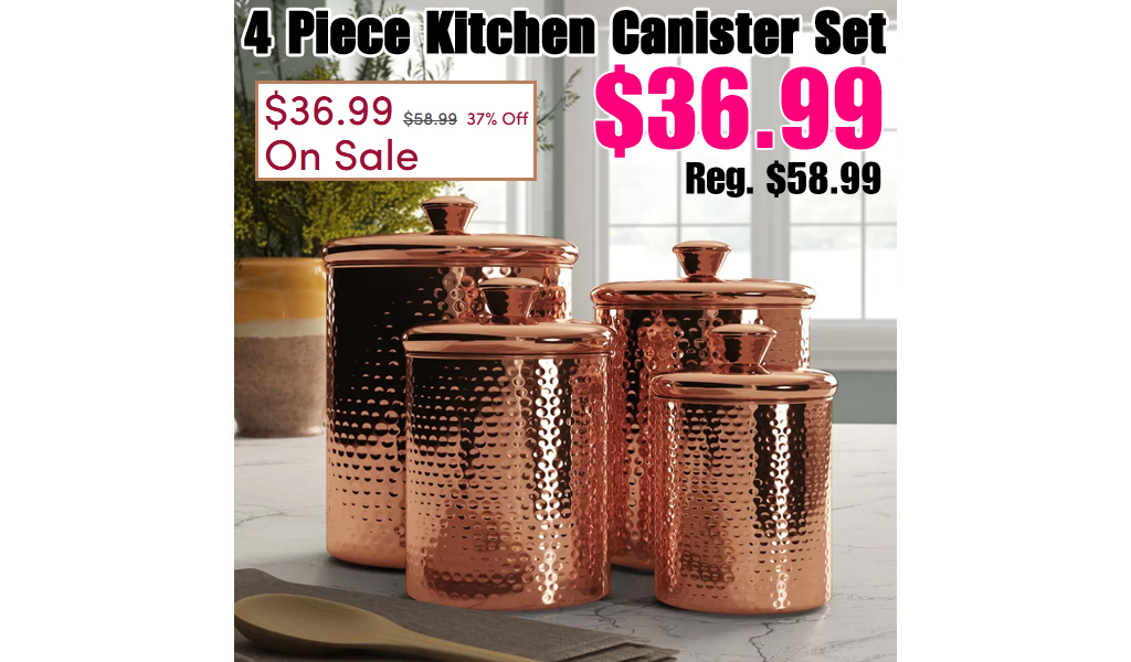 4 Piece Kitchen Canister Set Only $36.99 on Wayfair (Regularly $58.99)