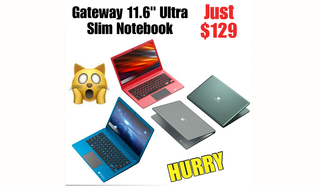Gateway 11.6" Ultra Slim Notebook Only $129 Shipped on Walmart