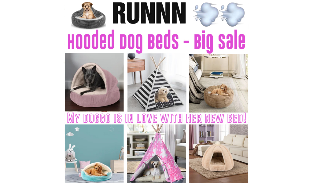 Hooded Dog Beds for Less on Wayfair - Big Sale
