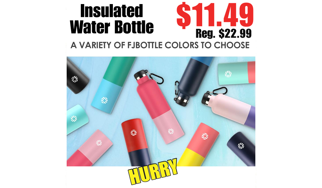 Insulated Water Bottle Only $11.49 Shipped on Amazon (Regularly $22.99)