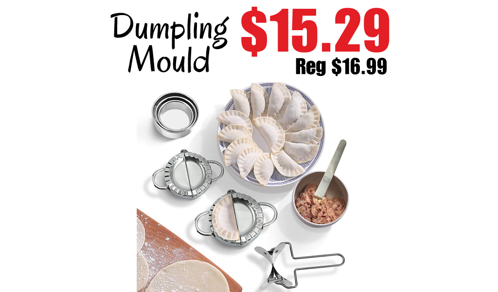 Dumpling Mould Only $15.29 Shipped on Amazon (Regularly $16.99)