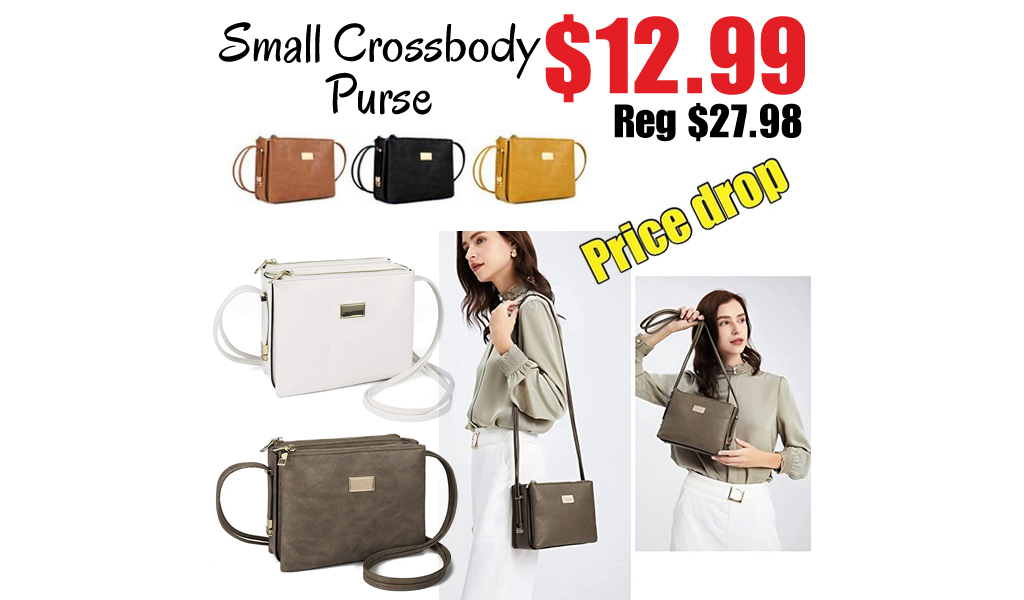 Small Crossbody Purse Only $12.99 Shipped on Amazon (Regularly $27.98)