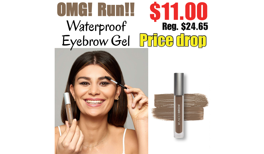 Waterproof Eyebrow Gel Only $11.00 Shipped on Amazon (Regularly $24.65)