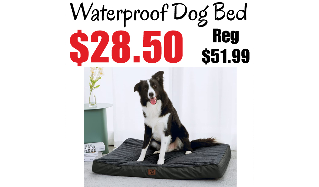 Waterproof and Durable Dog Bed Only $28.50 Shipped on Amazon (Regularly $51.99)