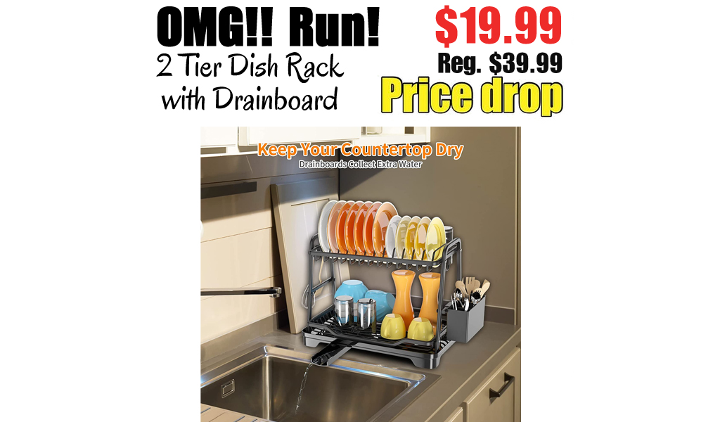 2 Tier Dish Rack with Drainboard Only $19.99 Shipped on Amazon (Regularly $39.99)