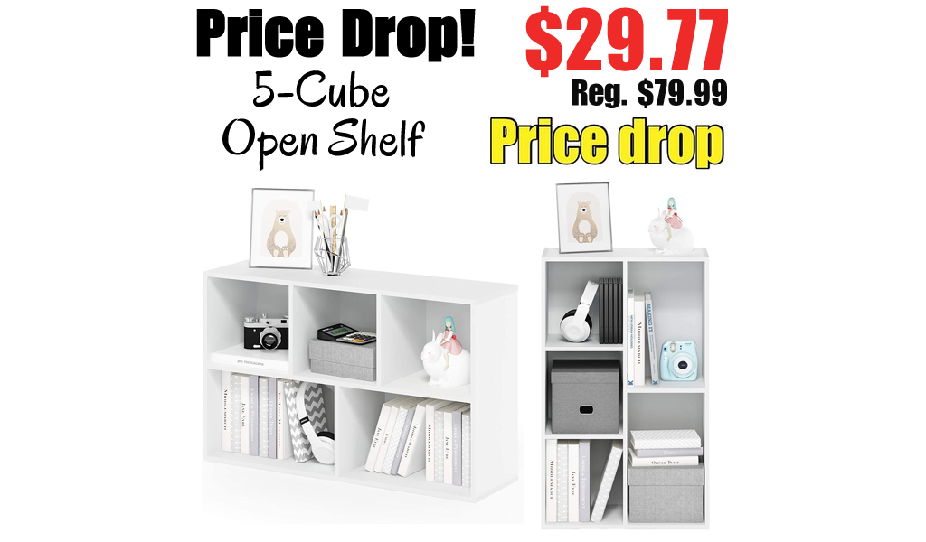 5-Cube Open Shelf Only $29.77 Shipped on Amazon (Regularly $79.99)