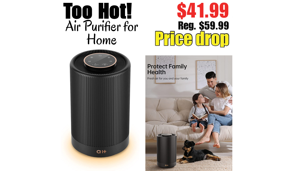 Air Purifier for Home Only $41.99 Shipped on Amazon (Regularly $59.99)
