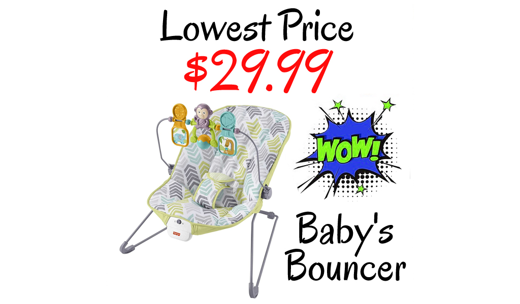 Baby's Bouncer Only $29.99 on Amazon