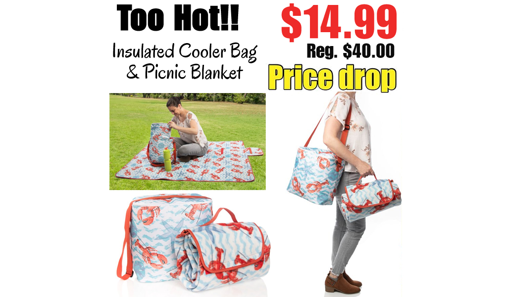 Insulated Cooler Bag & Picnic Blanket only $14.99 on Walmart.com (Regularly $40.00)