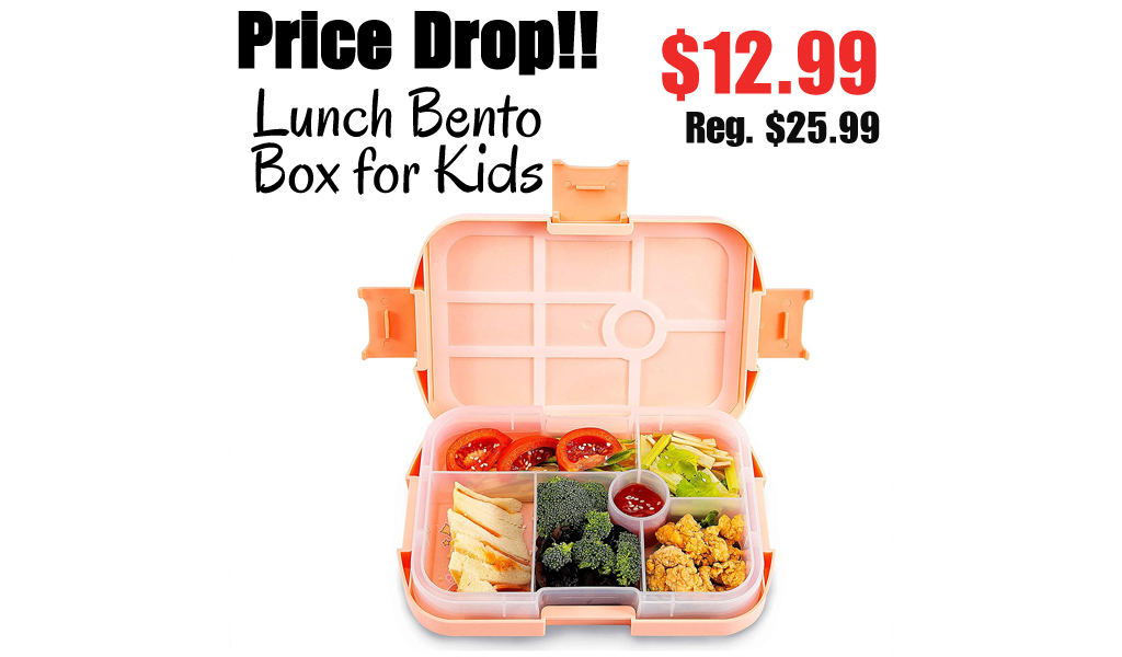 Lunch Bento Box for Kids $12.99 Shipped on Amazon (Regularly $25.99)