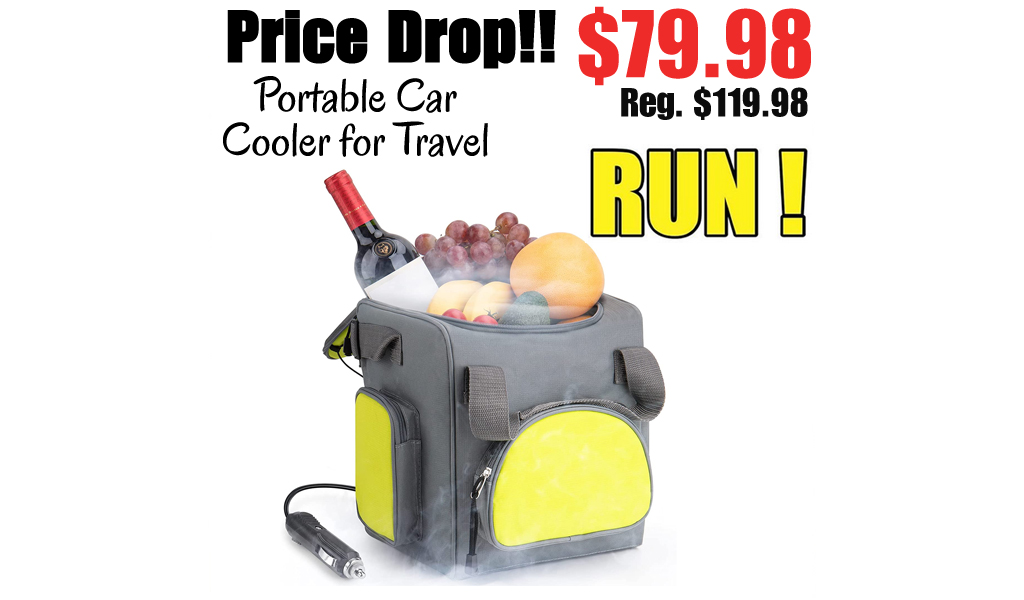 Portable Car Cooler for Travel Only $79.98 Shipped on Amazon (Regularly $119.98)