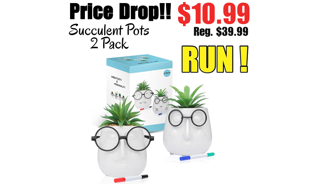 Succulent Pots - 2 Pack Only $10.99 Shipped on Amazon (Regularly $39.99)