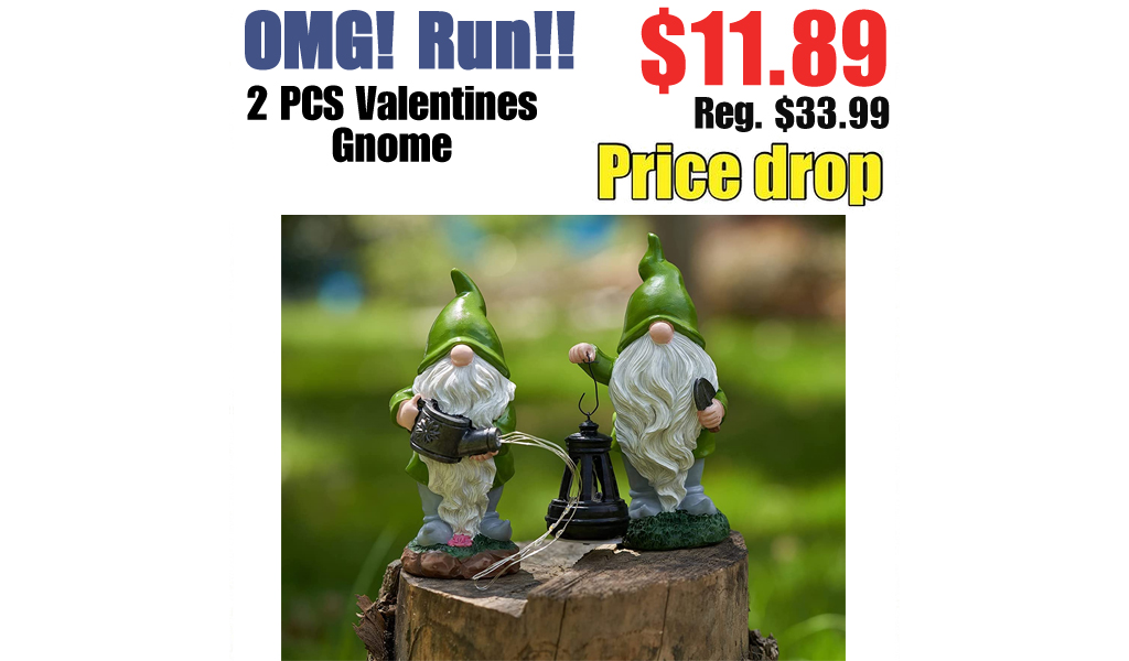 2 PCS Valentines Gnome Only $11.89 Shipped on Amazon (Regularly $33.99)