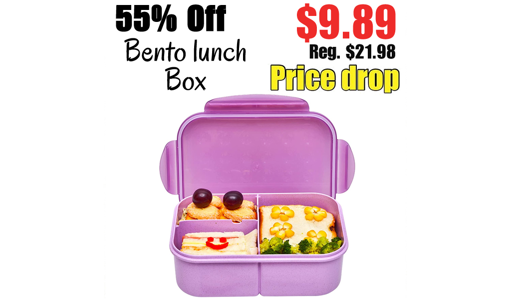 Bento lunch Box Only $9.89 Shipped on Amazon (Regularly $21.98)