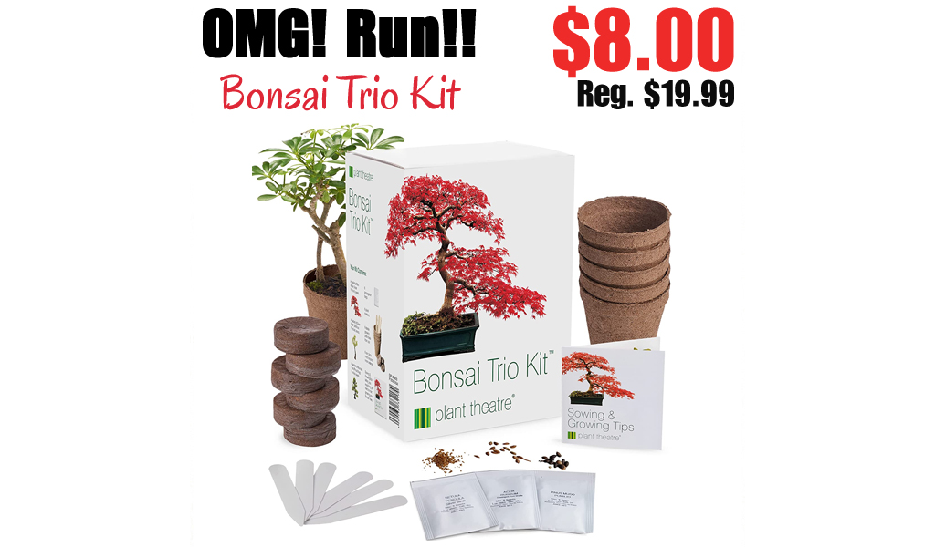 Bonsai Trio Kit Only $8.00 Shipped on Amazon (Regularly $19.99)