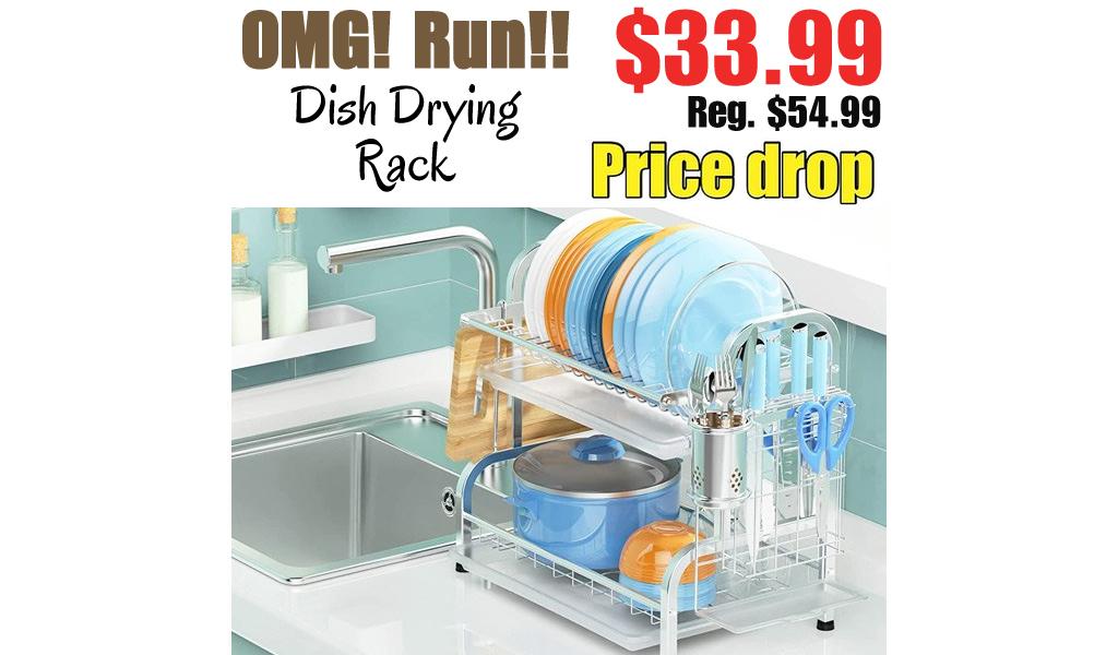 Dish Drying Rack Only $33.99 Shipped on Amazon (Regularly $54.99)