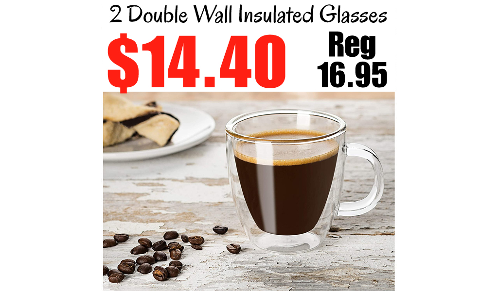 Double Wall Insulated Glasses Only $14.40 Shipped on Amazon (Regularly $16.95)