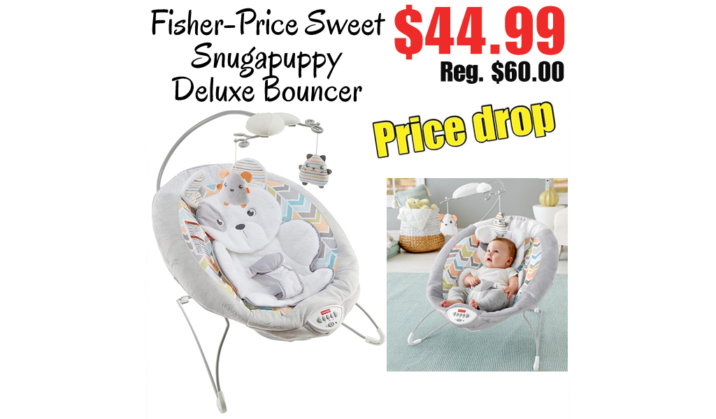 Fisher-Price Sweet Snugapuppy Deluxe Bouncer Only $44.99 Shipped on Amazon (Regularly $60)