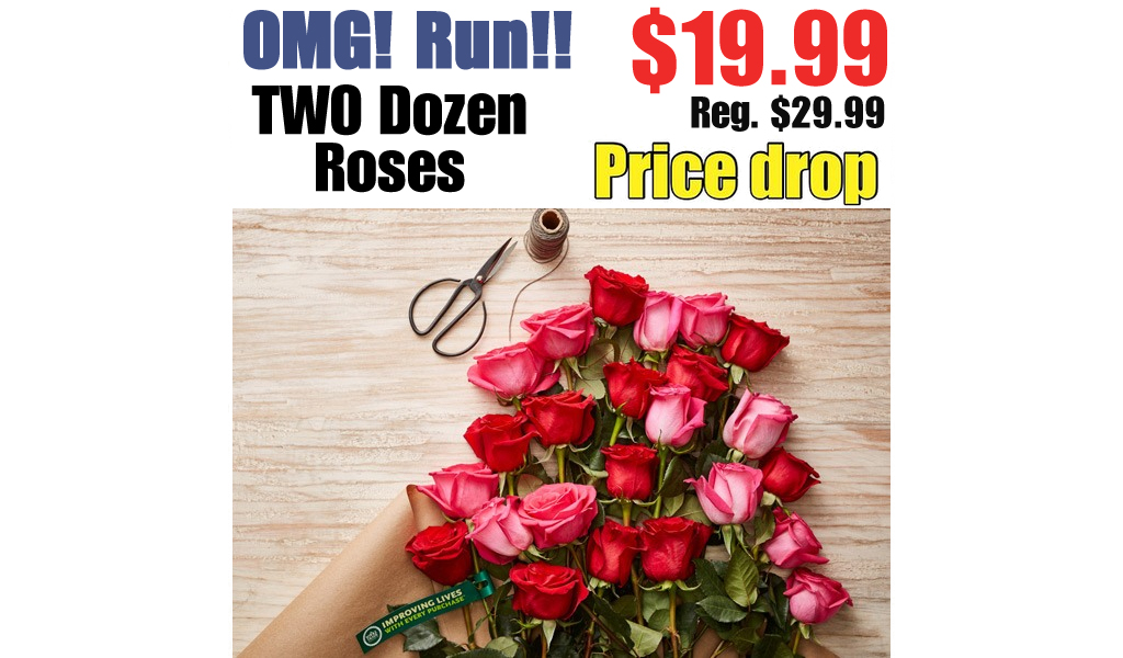 TWO Dozen Roses Only $19.99 Shipped on Amazon (Regularly $29.99)