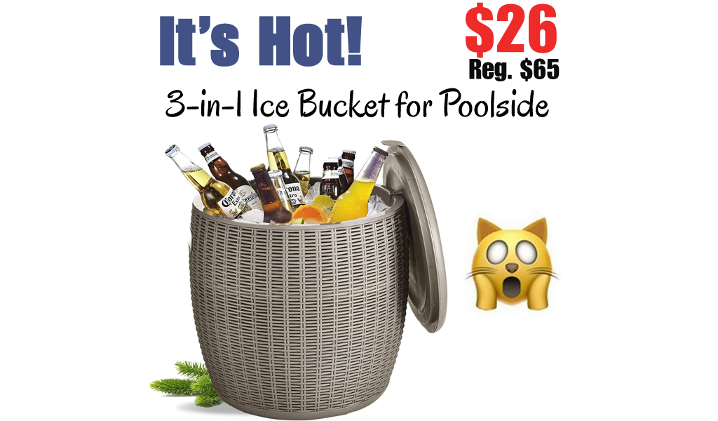 3-in-1 Ice Bucket for Poolside Only $26 Shipped on Amazon (Regularly $65)