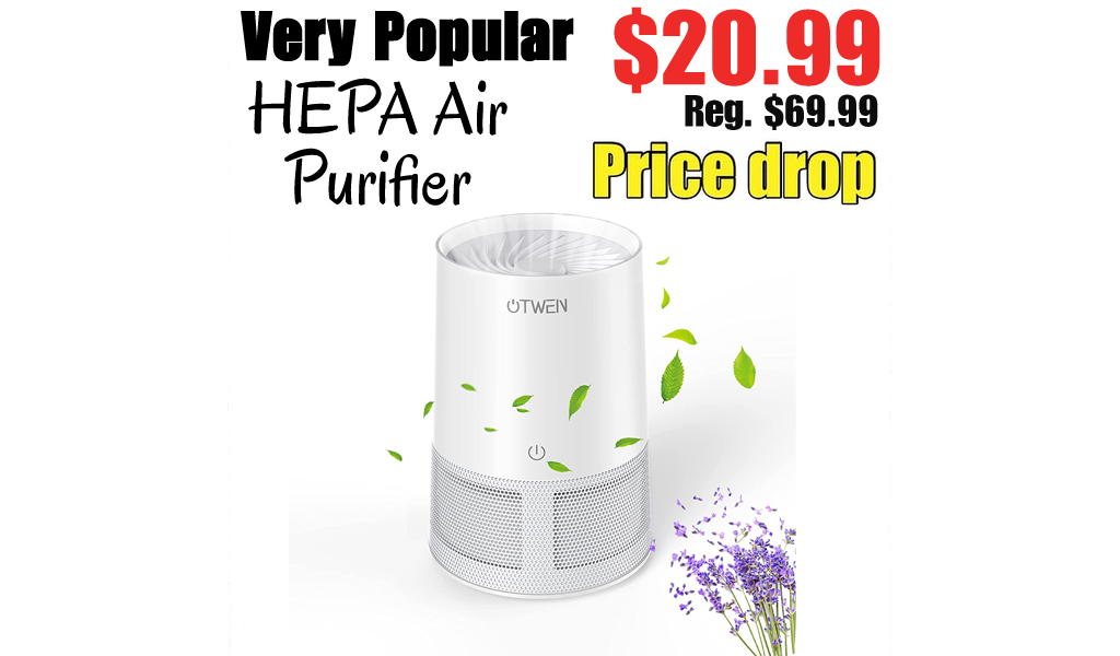 HEPA Air Purifier Only $20.99 Shipped on Amazon (Regularly $69.99)