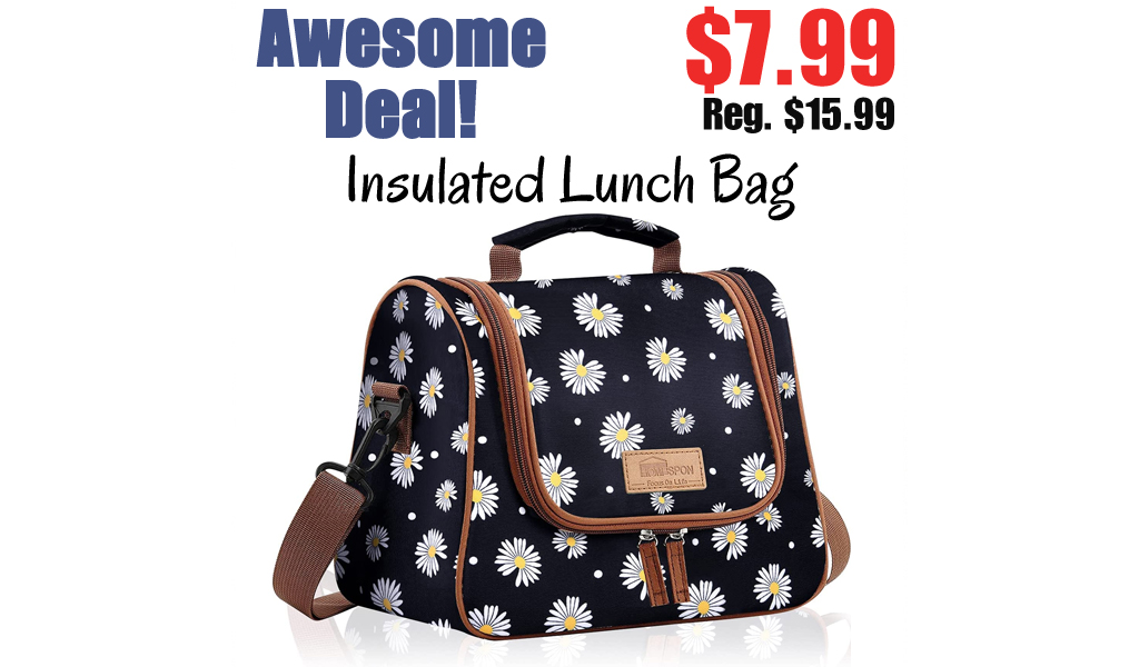 Insulated Lunch Bag Only $7.99 Shipped on Amazon (Regularly $15.99)
