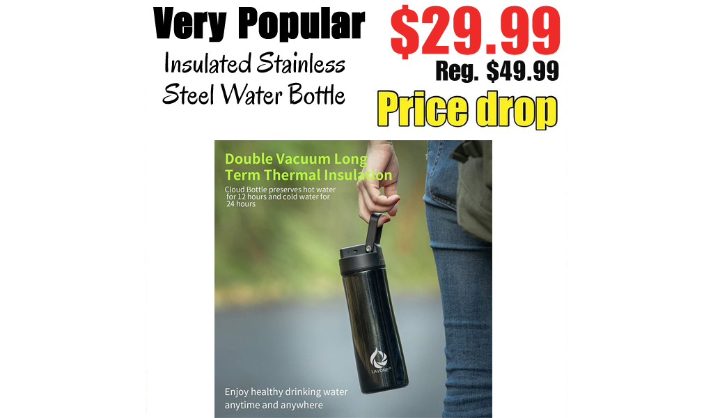 Insulated Stainless Steel Water Bottle Only $29.99 Shipped on Amazon (Regularly $49.99)