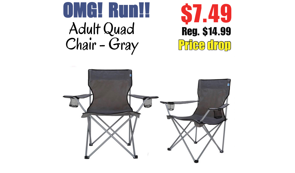 Adult Quad Chair - Gray Only $7.49 on target (Regularly $14.99)