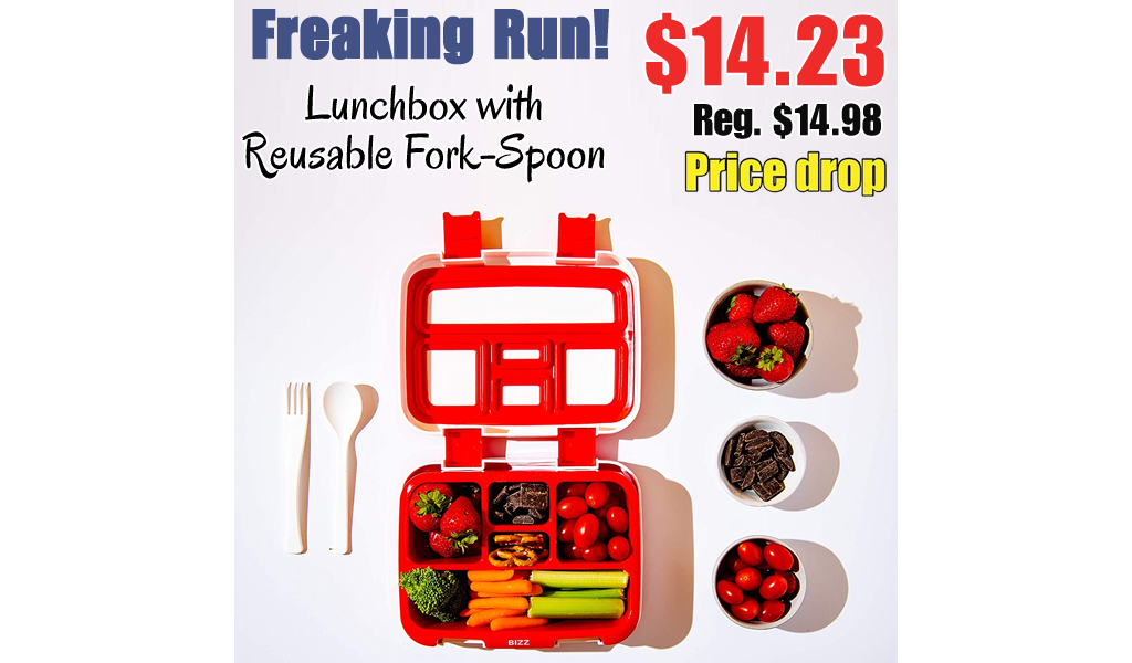 Lunchbox with Reusable Fork-Spoon Only $14.23 Shipped on Amazon (Regularly $14.98)