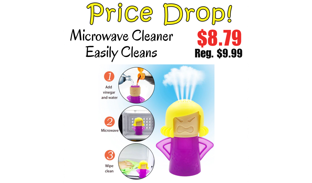 Microwave Cleaner Easily Cleans