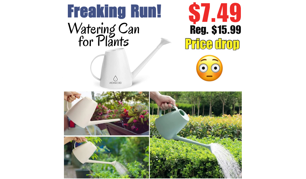 Watering Can for Plants Only $7.49 Shipped on Amazon (Regularly $15.99)