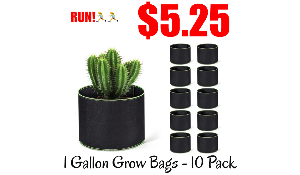 1 Gallon Grow Bags - 10 Pack Only $5.25 Shipped on Amazon (Regularly $14.99)
