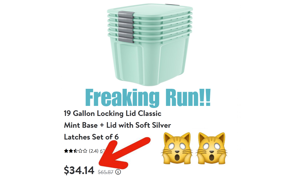 19 Gallon Locking Lid Classic Mint Base Set of 6 Just $34.14 Shipped on Walmart.com (Regularly $65.87)