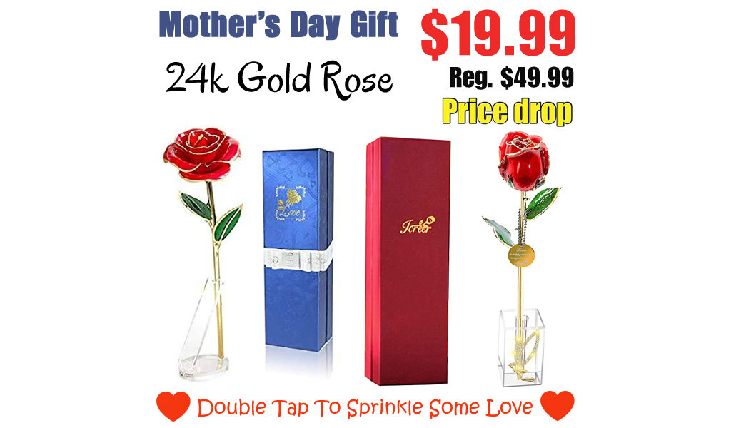 24k Gold Rose Only $19.99 Shipped on Amazon (Regularly $49.99)