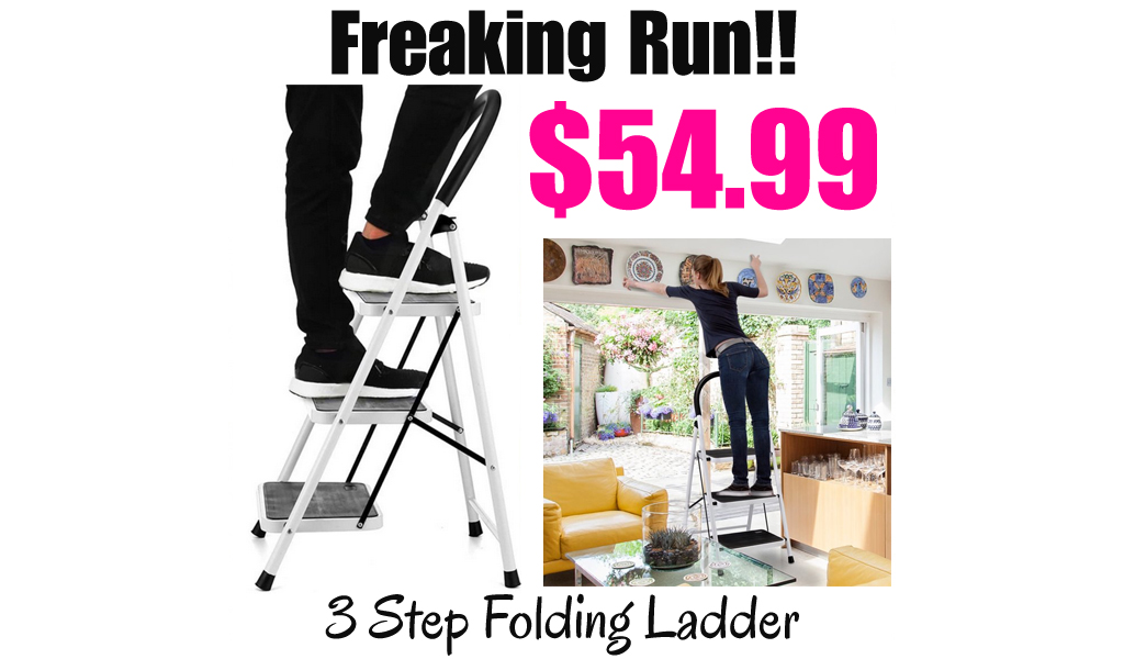3 Step Folding Ladder Just $54.99 Shipped on Walmart.com (Regularly $119.99)