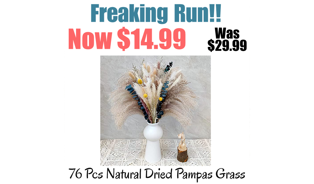 76 Pcs Natural Dried Pampas Grass Only $14.99 Shipped on Amazon (Regularly $29.99)