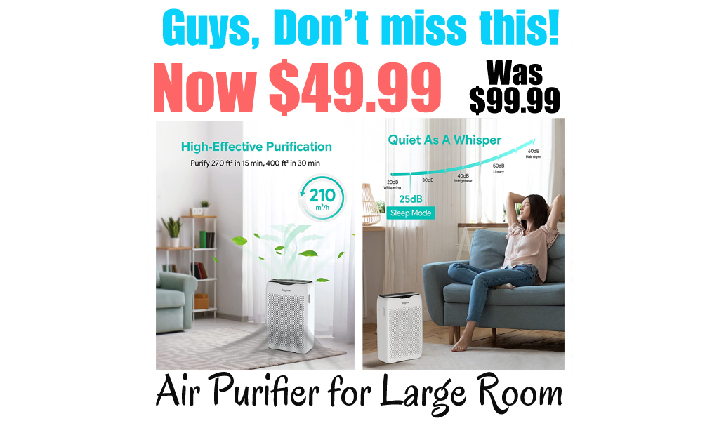 Air Purifier for Large Room Only $49.99 Shipped on Amazon (Regularly $99.99)