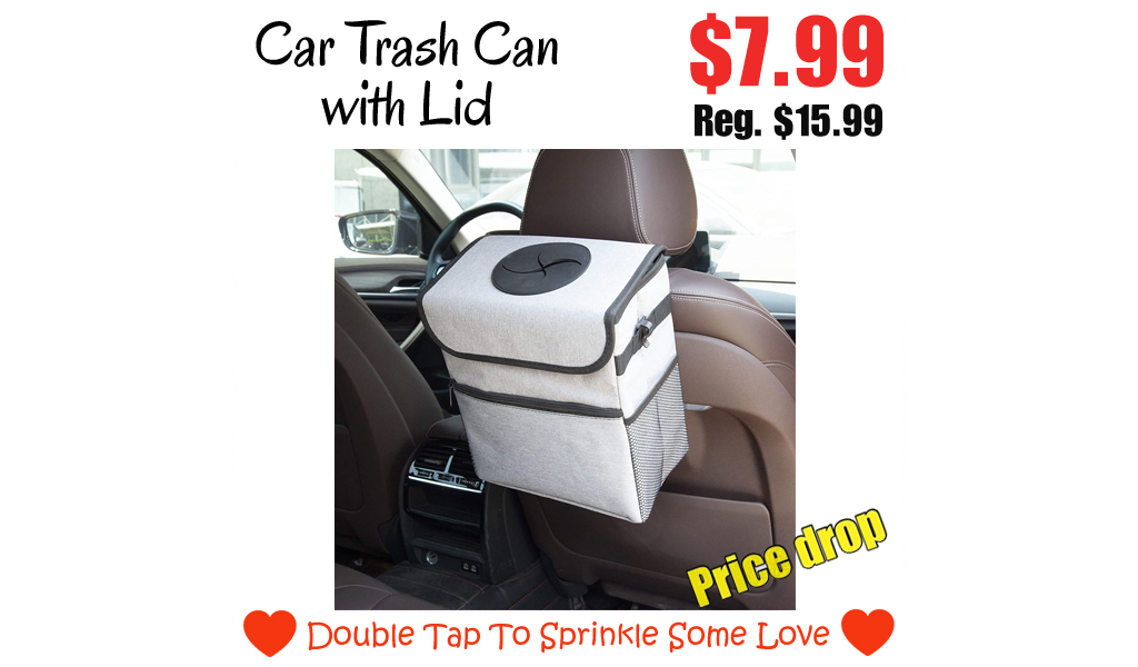 Car Trash Can with Lid Only for $7.99 on Amazon (Regularly $15.99)