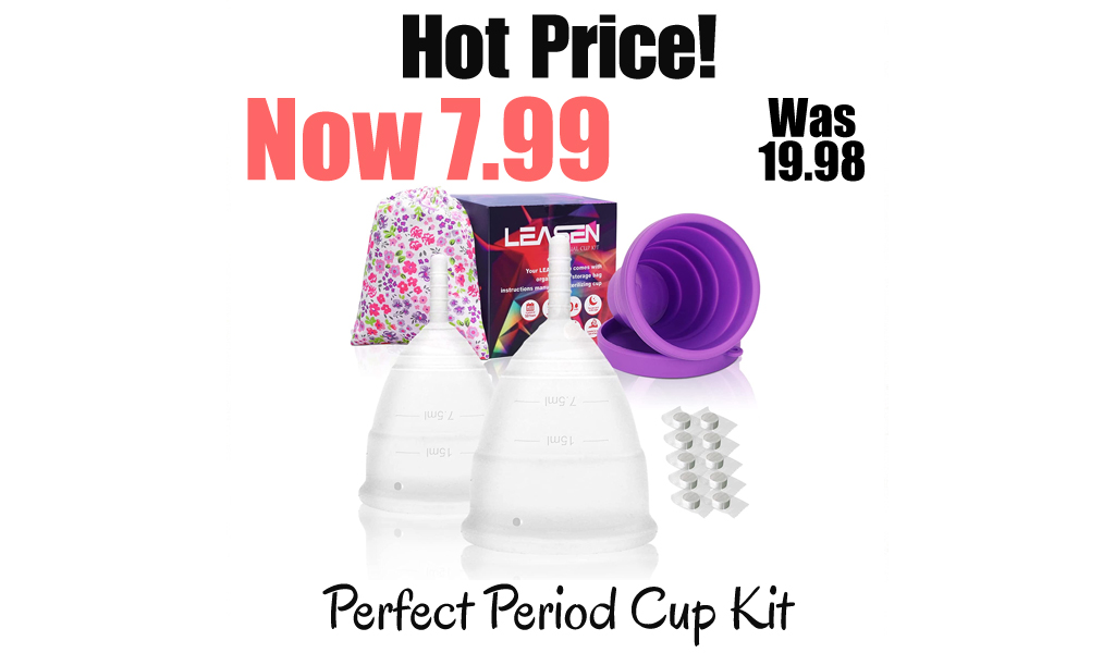 Perfect Period Cup Kit Only $7.99 Shipped on Amazon (Regularly $19.98)