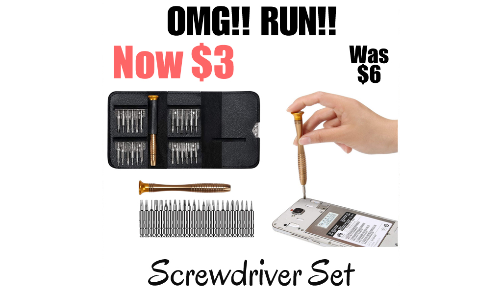 Screwdriver Set Only $3 Shipped on Amazon (Regularly $6)