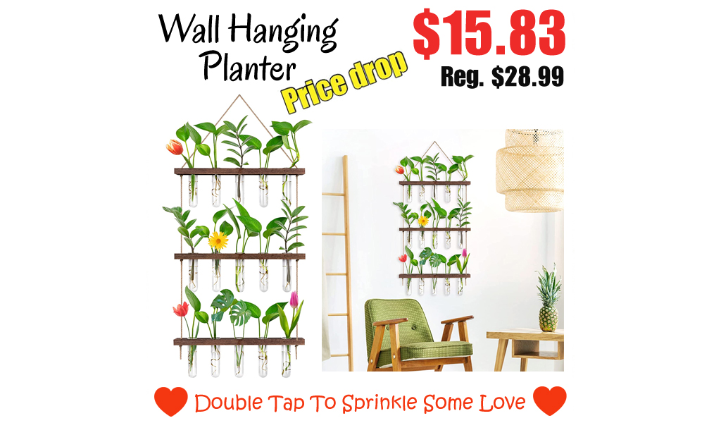 Wall Hanging Planter Only for $15.83 on Amazon (Regularly $28.99)