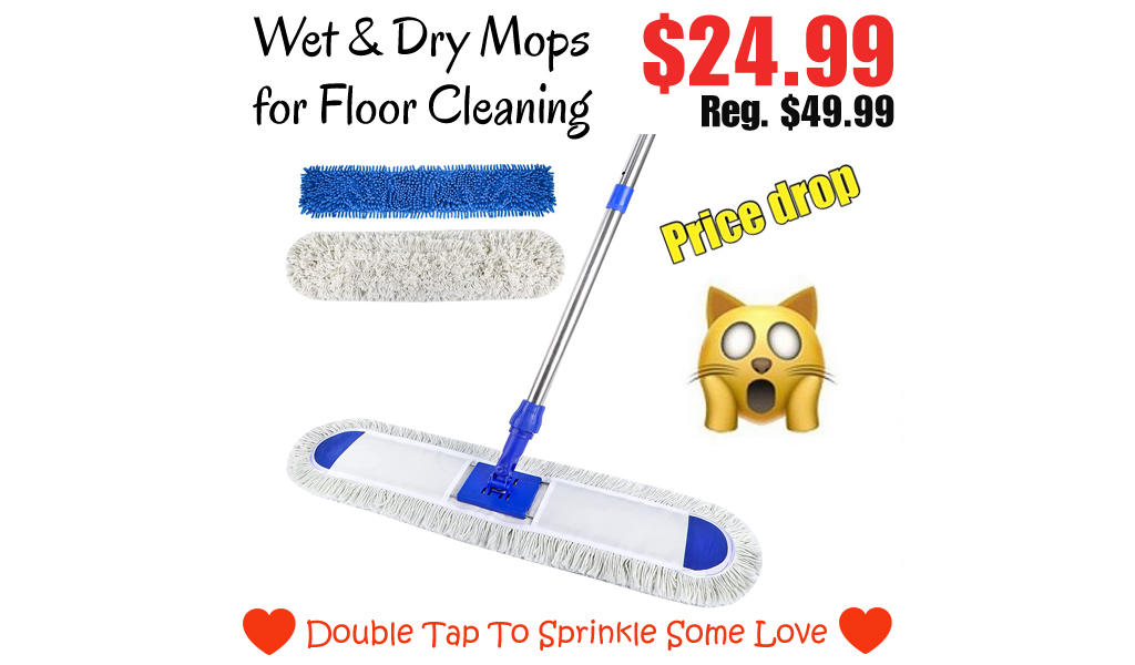 Wet & Dry Mops for Floor Cleaning Only for $24.99 on Amazon (Regularly $49.99)
