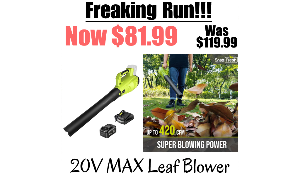 20V MAX Leaf Blower Only $81.99 Shipped on Amazon (Regularly $119.99)