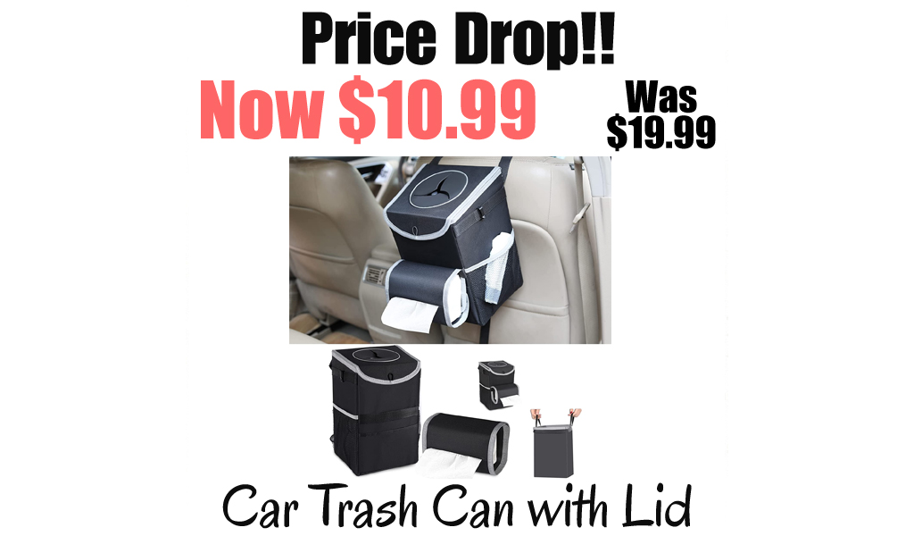 Car Trash Can with Lid Only $10.99 Shipped on Amazon (Regularly $19.99)