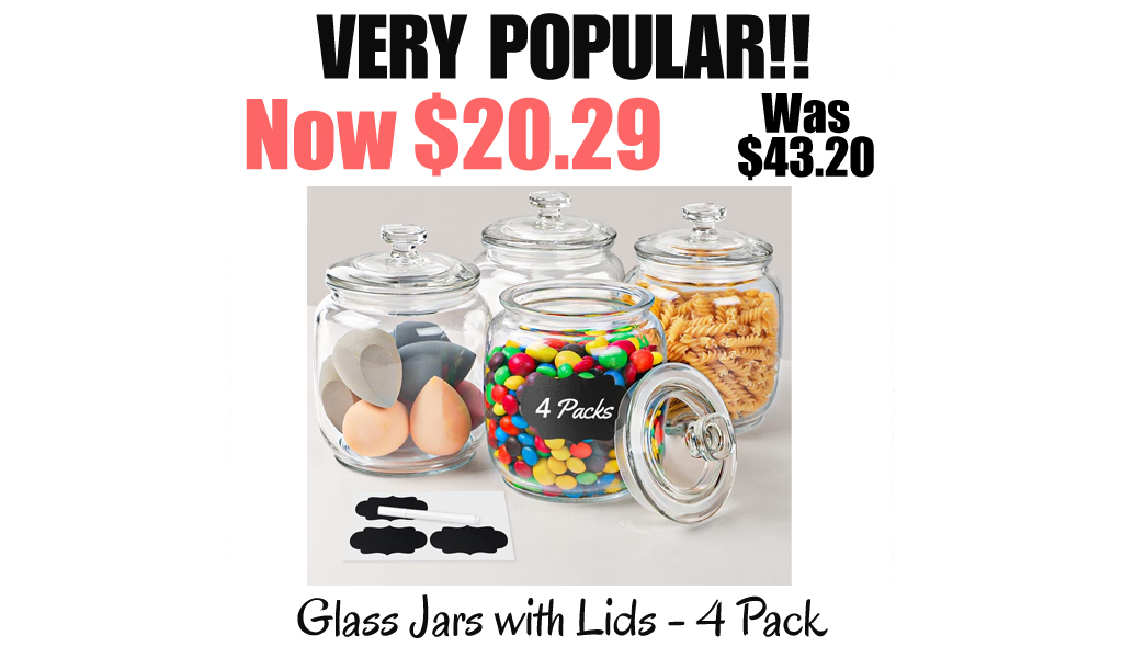 Glass Jars with Lids - 4 Pack Only $20.29 Shipped on Amazon (Regularly $43.20)