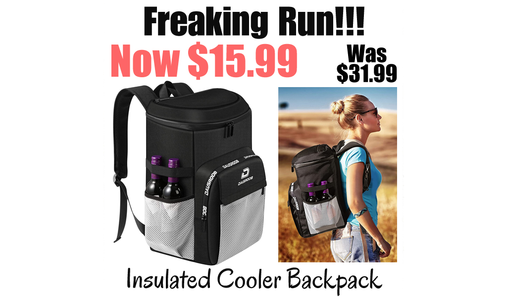Insulated Cooler Backpack Only $15.99 Shipped on Amazon (Regularly $31.99)